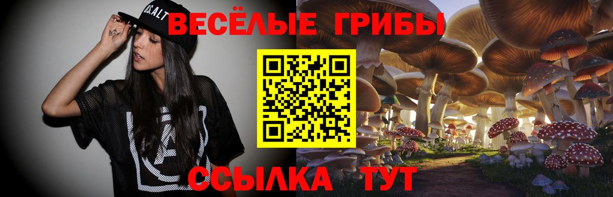 Галлюциногенные грибы Magic Shrooms  Вход с VPN  Малгобек 
